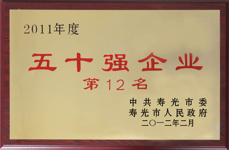 2011年度五十強(qiáng)企業(yè)第十二名獎牌